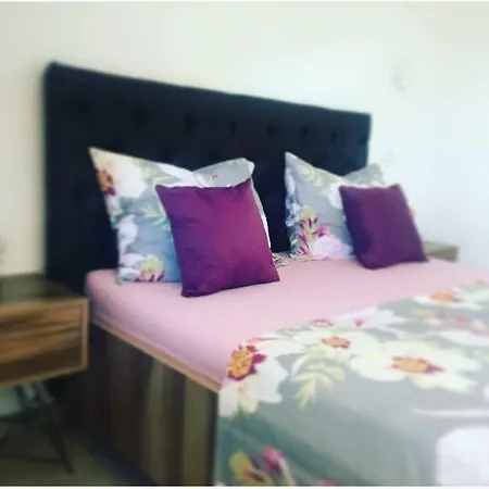 לינה וארוחת בוקר White טרוגיר