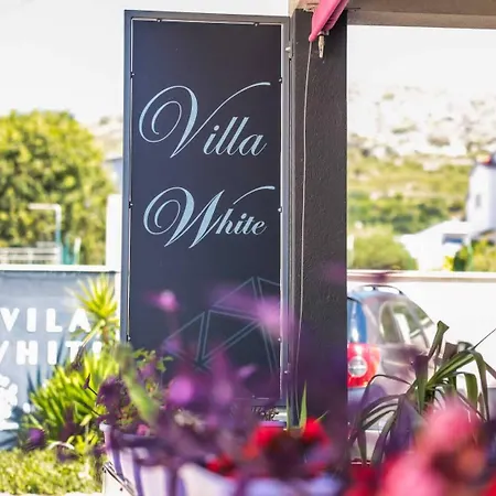 White לינה וארוחת בוקר טרוגיר